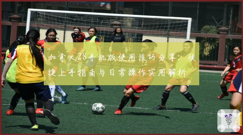 加拿大28手机版使用技巧分享：快捷上手指南与日常操作实用解析