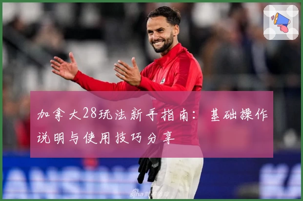 加拿大28玩法新手指南:基础操作说明与使用技巧分享