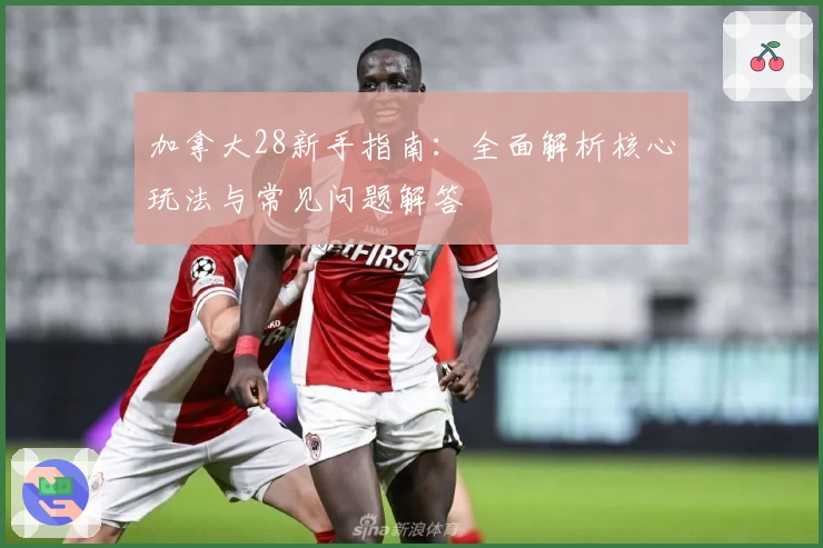 加拿大28新手指南：全面解析核心玩法与常见问题解答