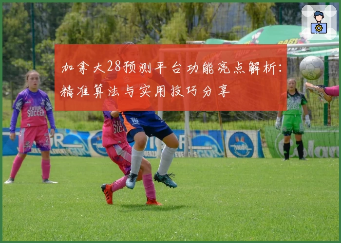 加拿大28预测平台功能亮点解析：精准算法与实用技巧分享