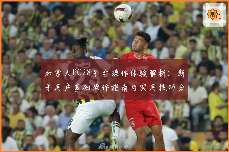 加拿大PC28平台操作体验解析：新手用户基础操作指南与实用技巧分享
