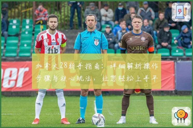 加拿大28新手指南：详细解析操作步骤与核心玩法，让您轻松上手平台服务