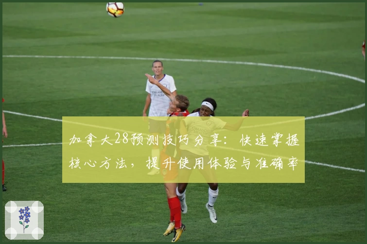 加拿大28预测技巧分享：快速掌握核心方法，提升使用体验与准确率