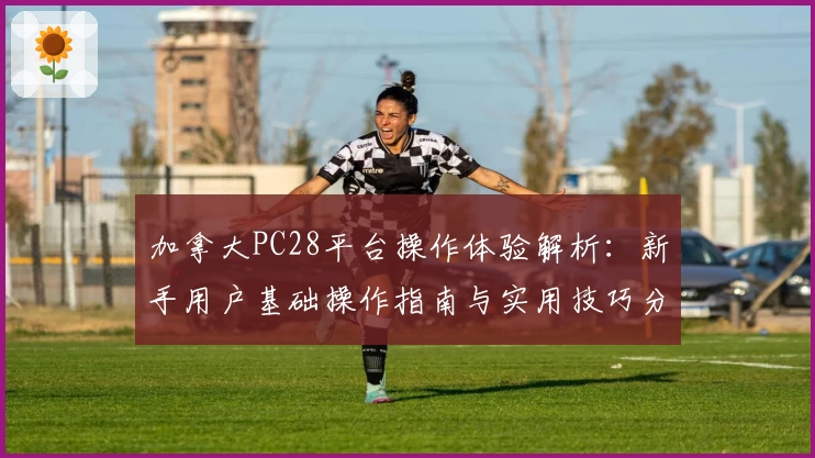 加拿大PC28平台操作体验解析：新手用户基础操作指南与实用技巧分享