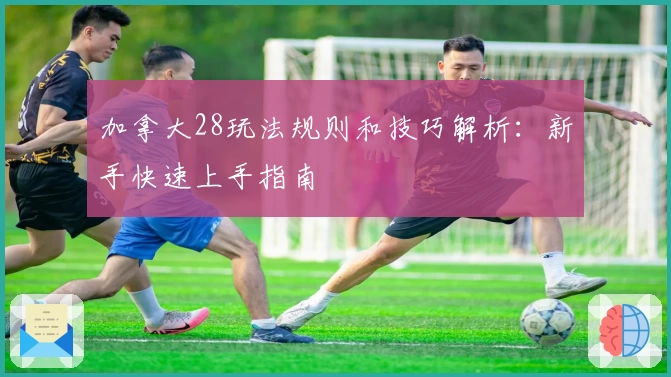 加拿大28玩法规则和技巧解析:新手快速上手指南