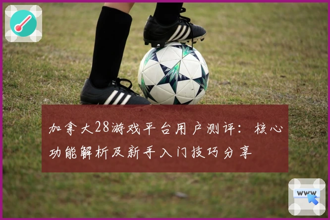 加拿大28游戏平台用户测评：核心功能解析及新手入门技巧分享