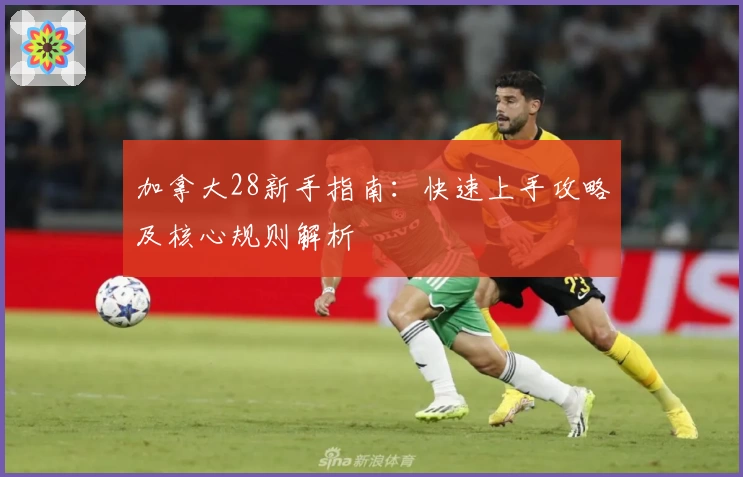 加拿大28新手指南：快速上手攻略及核心规则解析