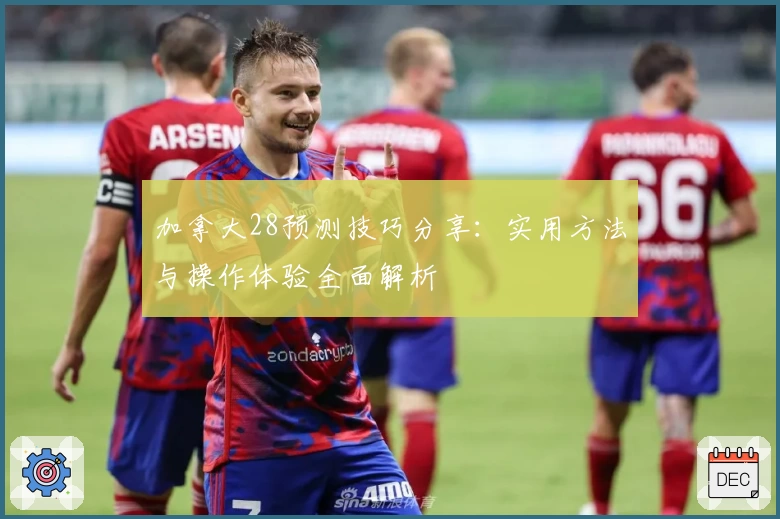 加拿大28预测技巧分享：实用方法与操作体验全面解析