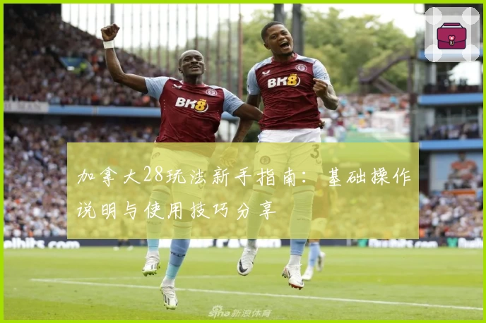 加拿大28玩法新手指南：基础操作说明与使用技巧分享
