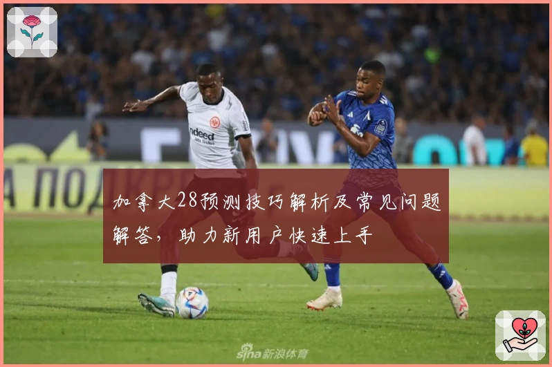 加拿大28预测技巧解析及常见问题解答,助力新用户快速上手
